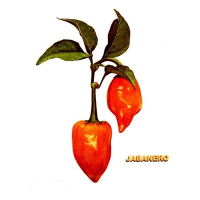 JABANERO - EP