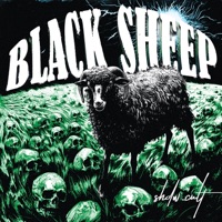 Black Sheep - Single - SHDW.CULT & Odd 1 Out
