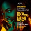 How Do You See Me Now (Dubplate Collective Remixes) [feat. Dihan Brooks] - Single