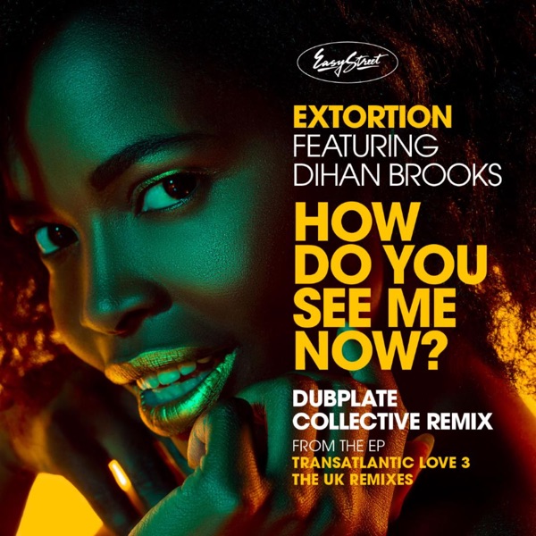 How Do You See Me Now (Dubplate Collective Remixes) [feat. Dihan Brooks] - Single