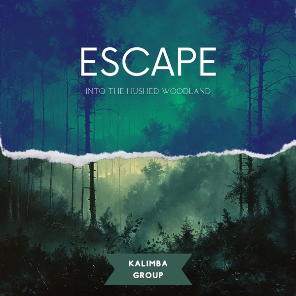 Escape Into the Hushed Woodland
