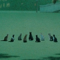 OUT ON DA BLOCK - Single - Danny morpho