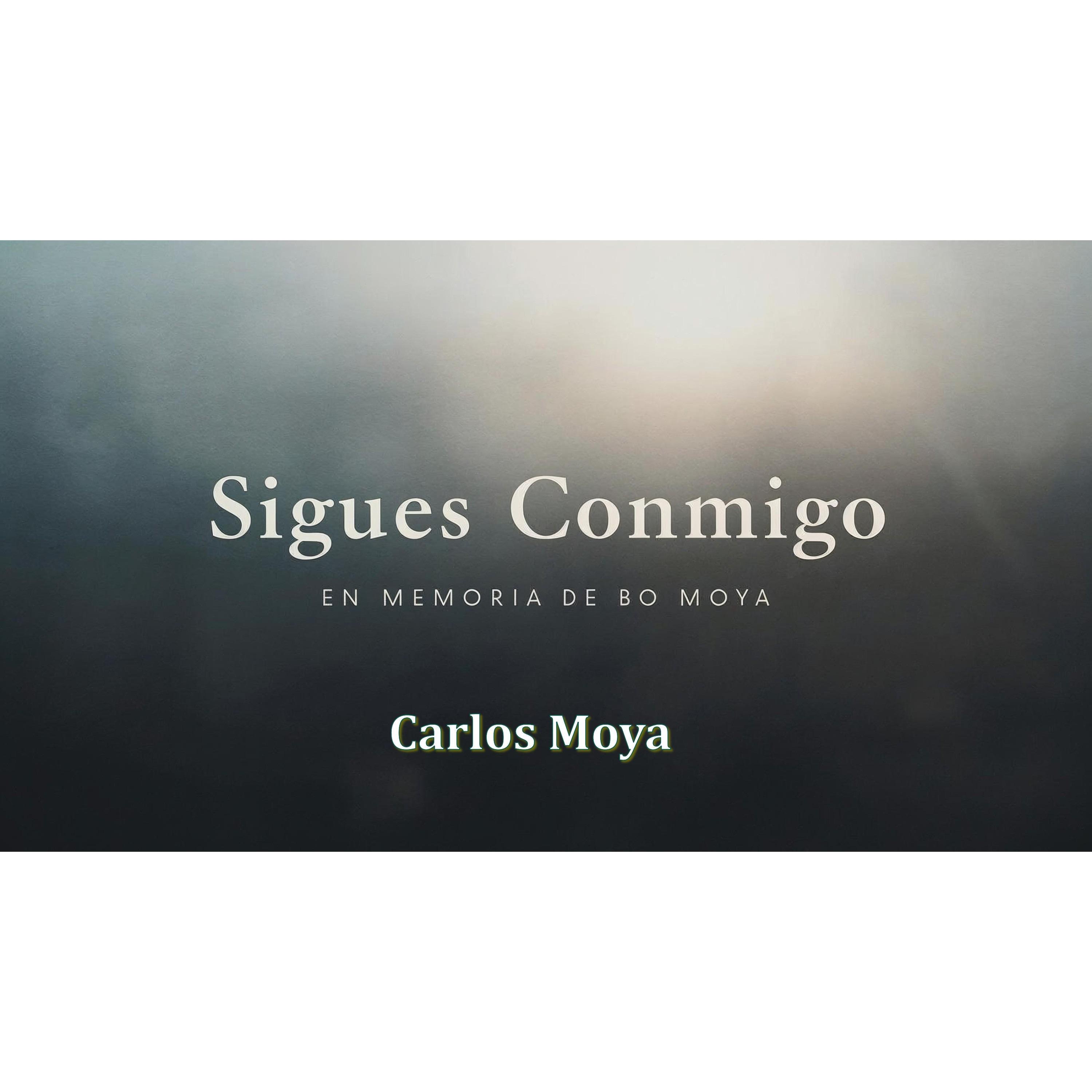 Sigues Conmigo - Single