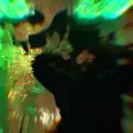 Fiesta Mamacita