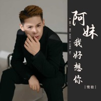 阿妹我好想你 - EP - 莺歌