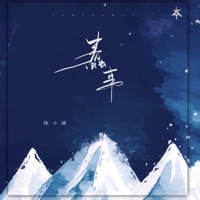 蠢事 - Single - 陳小滿