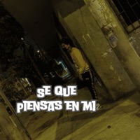 Sé Que Piensas en Mí - Single - Ator MC