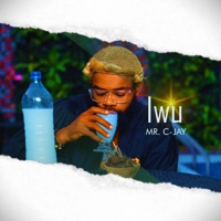 Iwu - Single - Mr C-jay