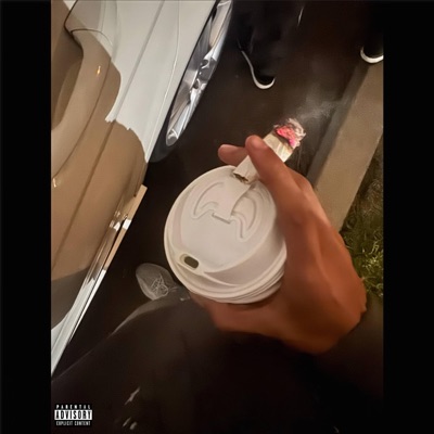 Cash Flow - Single