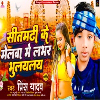 Sitamadhi Ke Melwa Me Labhar Bhulayalay - Single - Prince Yadav