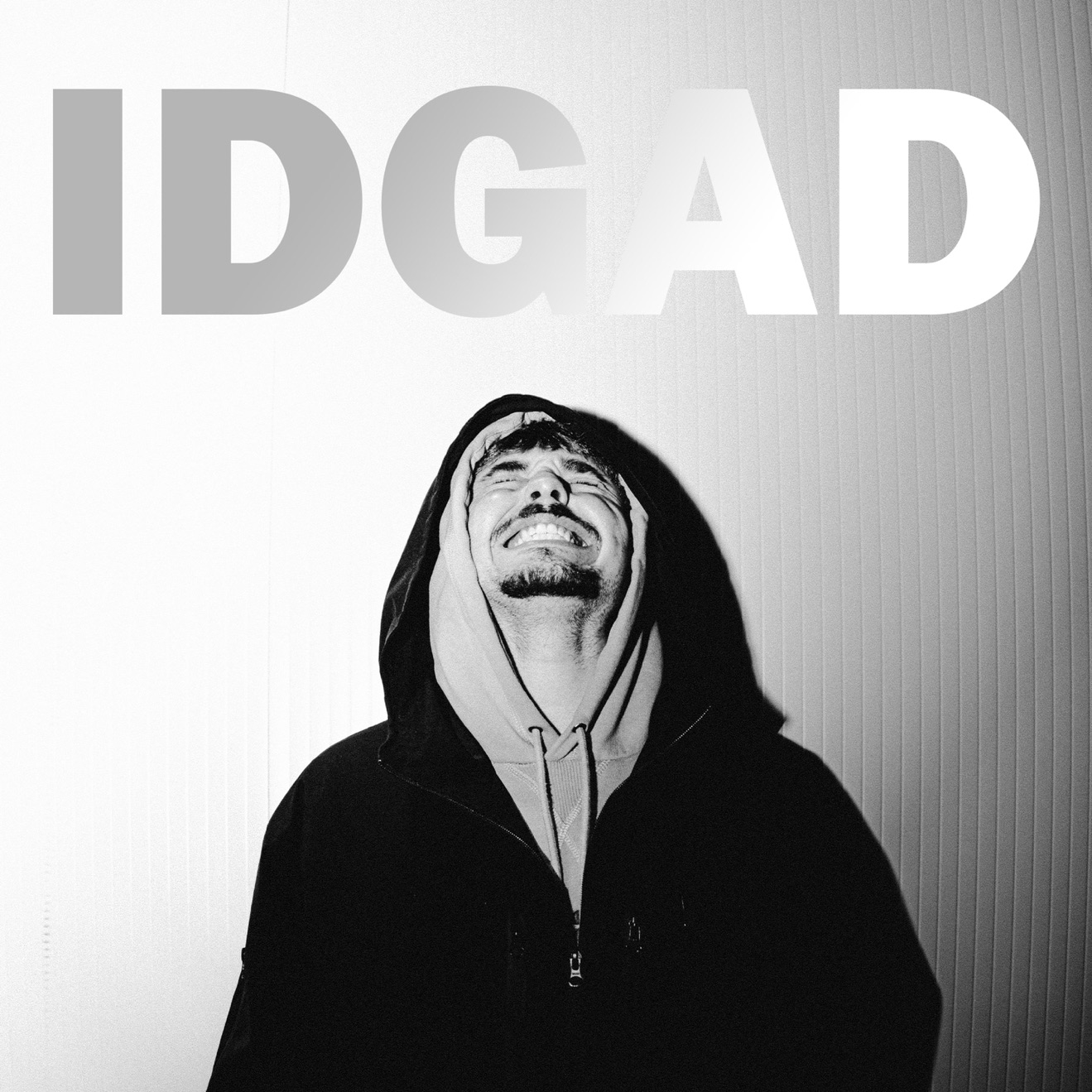 Bapcat & VSP AST – IDGAD – Single (2025) [iTunes Match M4A]