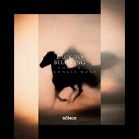 Back to Believing - Single - Tomi H & Wildness Rose