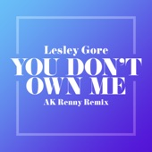 You Don't Own Me (AK RENNY Remix) artwork