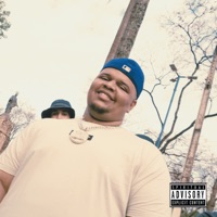 Vida Inteira - Single - Marques & THS