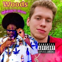 Woods (feat. Afroman) - Single - OgBigBandz