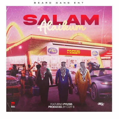 Salam Alaikum (feat. Pylesis) - Single