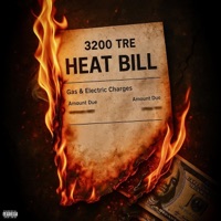 Heat Bill - Single - 3200 Tre