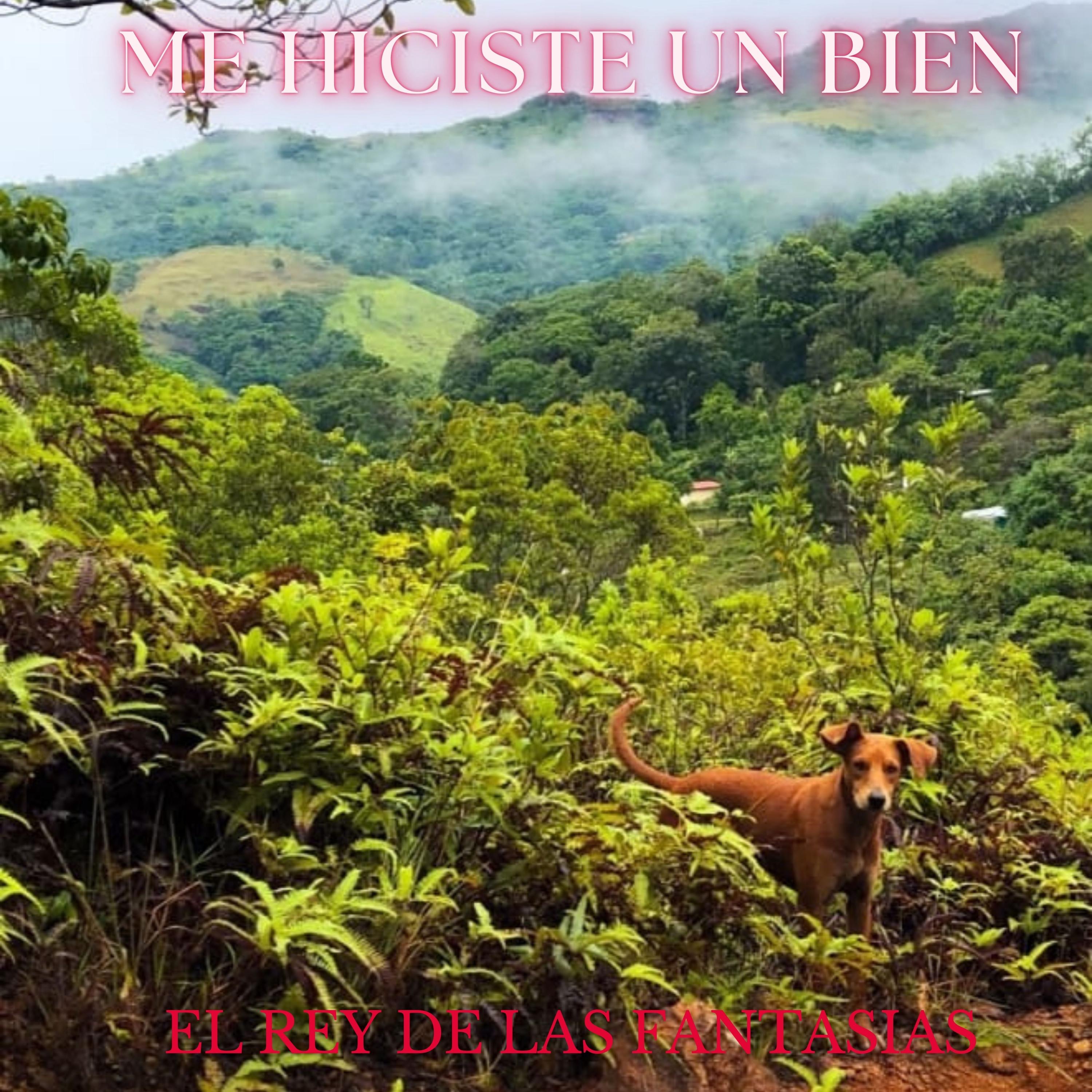 ME HICISTE UN BIEN - Single