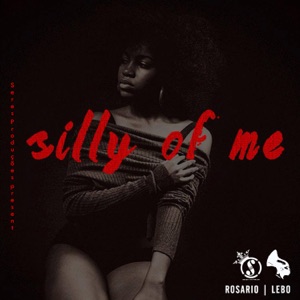 Silly of Me (feat. Lebo) - Single