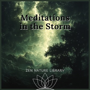 Meditations in the Storm