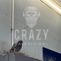 Blood In Blood Out - Single - Crazy Da Original & Sam Rasta