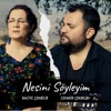 Nesini Söyleyim - Single