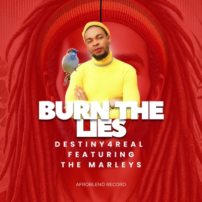 Burn The Lies (Best Reggae Xtension) - Single