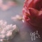 Lotus - Galdive, Wiana & Osvaldorio lyrics