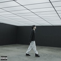 ATL (СИНДЕРЕЛЛА) - Single - FLESH