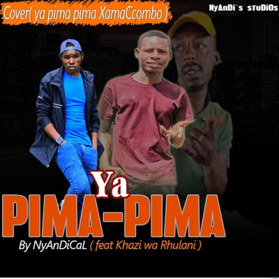 Ya Pima pima (feat. Khazi wa Rhulani, R.R Leee & Cover XamaCcombo) - Single