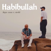 Habibullah (feat. Siedd) artwork