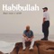 Habibullah (feat. Siedd) artwork