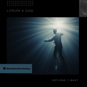 Nothing I Want - Single
