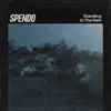 Spendo - Standing In The Rain