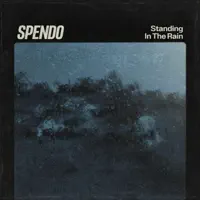 Standing In The Rain — Spendo