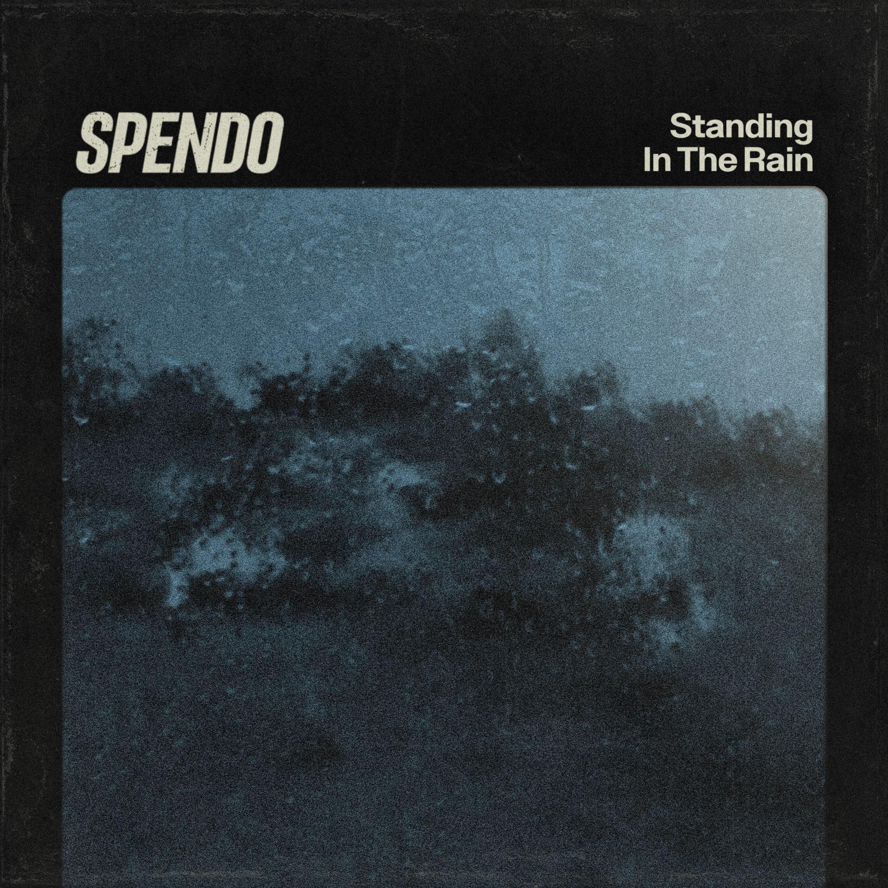 Standing In The Rain - Single