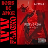 Perversa (feat. ELALE Produce) - Single - WW Flacko