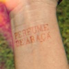 Perfume de Araçá (feat. Rafael Lorga, Demarca & Juliana Linhares) - Single