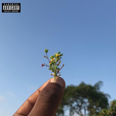 REMEMBER YOUR PLACE (feat. Frank Miino) - Single