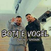 Bota e Vogel (feat. Shonak) - Single - DiReal