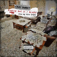 BLAOW - Single - Troy Dunnit