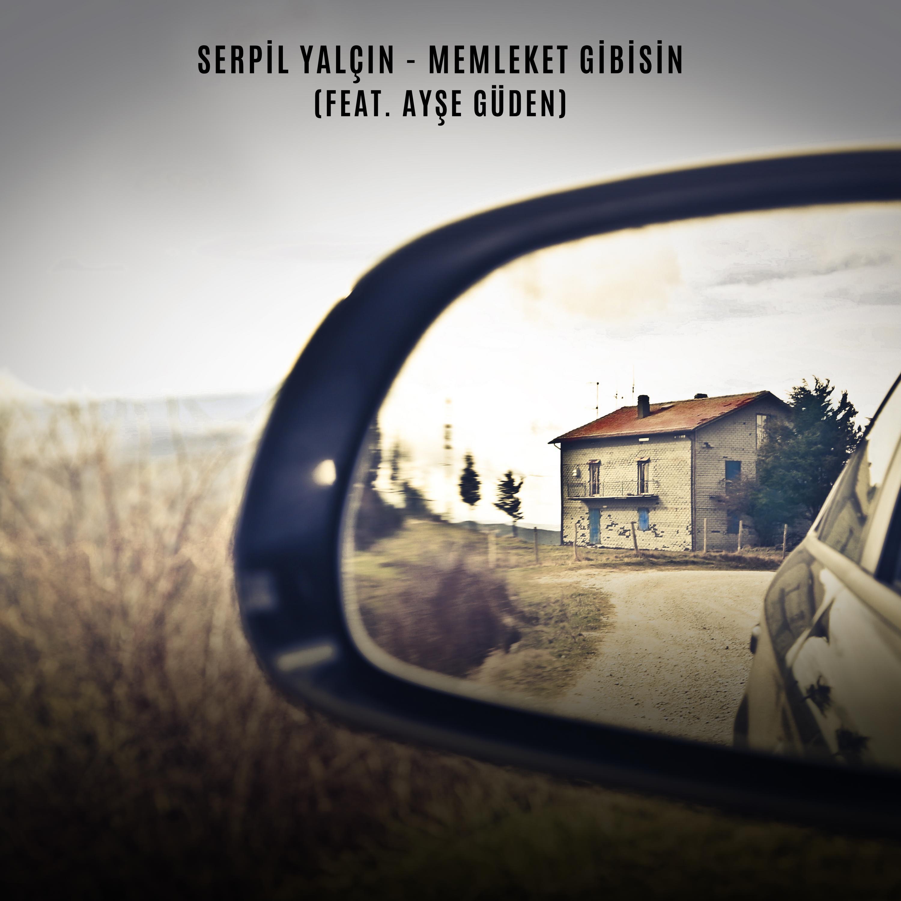 Memleket Gibisin (feat. Ayşe Güden) - Single