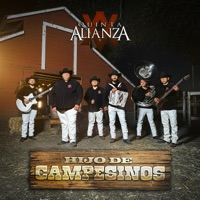 Hijo De Campesinos - Single - Quinta Alianza