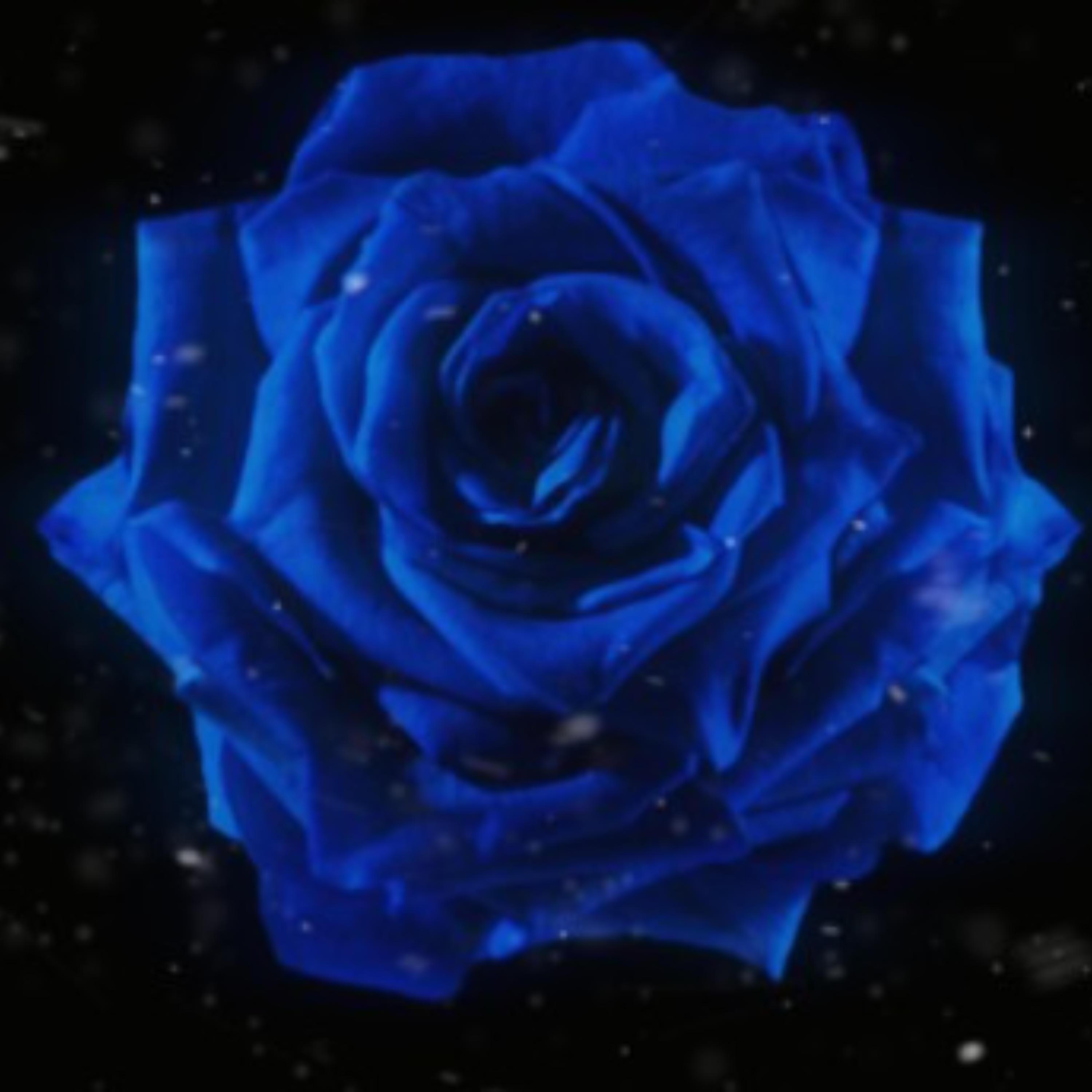 ecstasy - Single