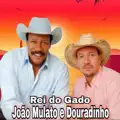 Mulato
