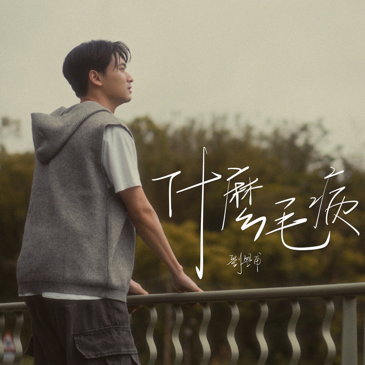 劉學甫 - 什麼毛病 - Single (2025) [iTunes Plus AAC M4A]-新房子