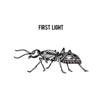 First Light - Single - Will Buck