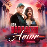 Borracho de Amor - Single - Dnk