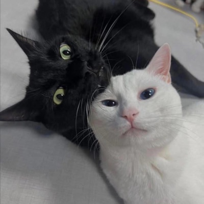 we can get past anything if we try - Single