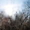 Gnash - Evert Van Eynde lyrics